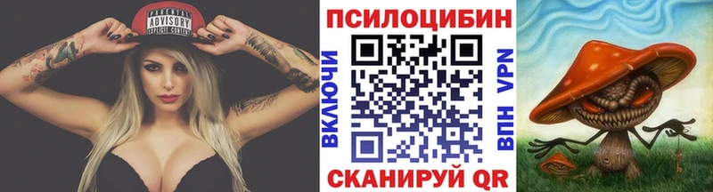 Купить  Волгоград  Псилоцибиновые грибы Psilocybe 